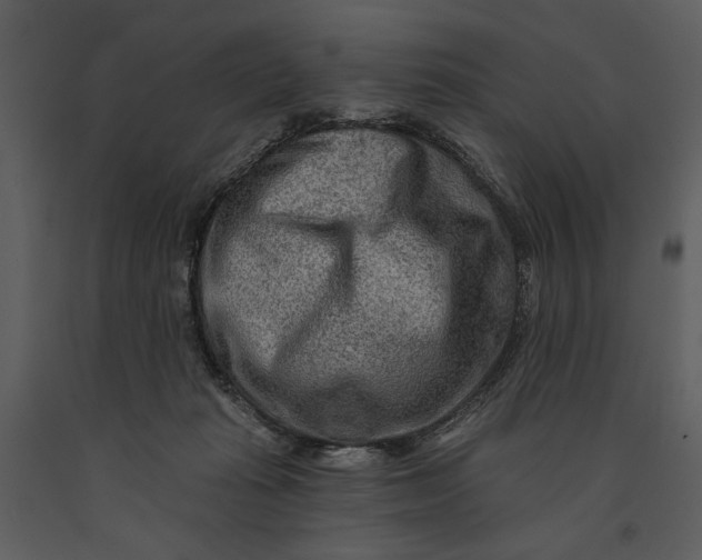 X0000090950269200708241136