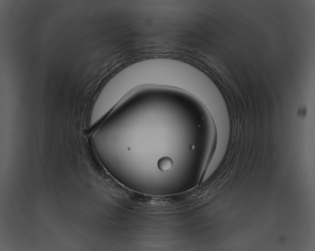 X0000090950270200708241136