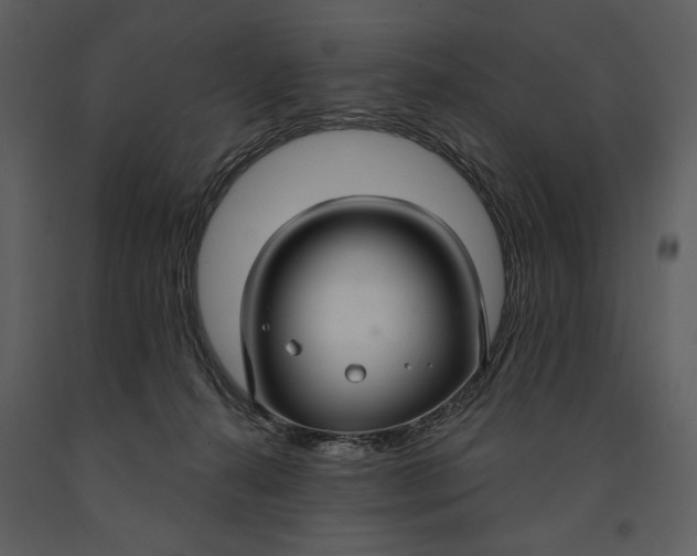 X0000090950272200708241136