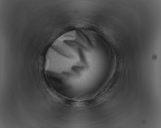 X0000090950273200708241136
