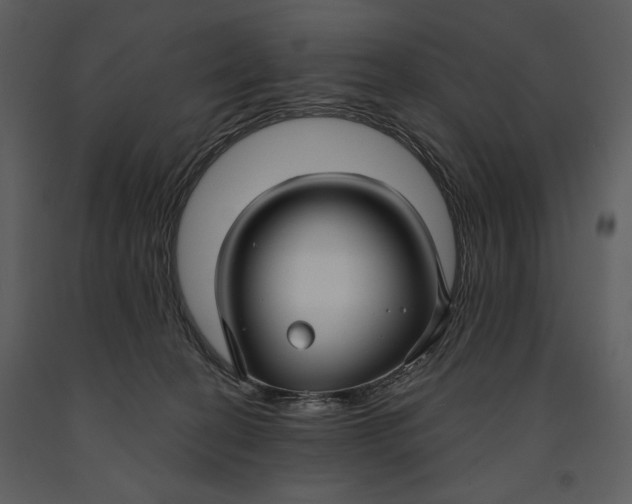 X0000090950274200708241136