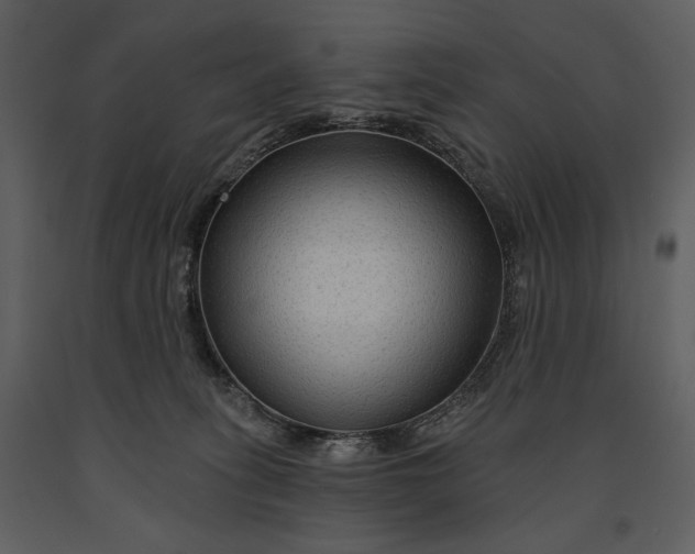 X0000090950275200708241136