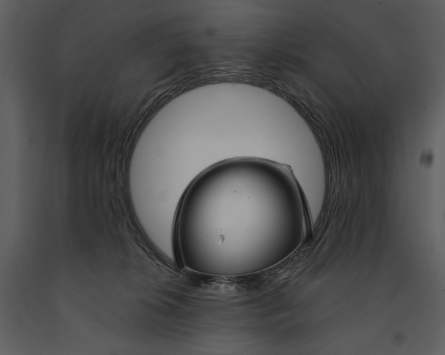 X0000090950276200708241136