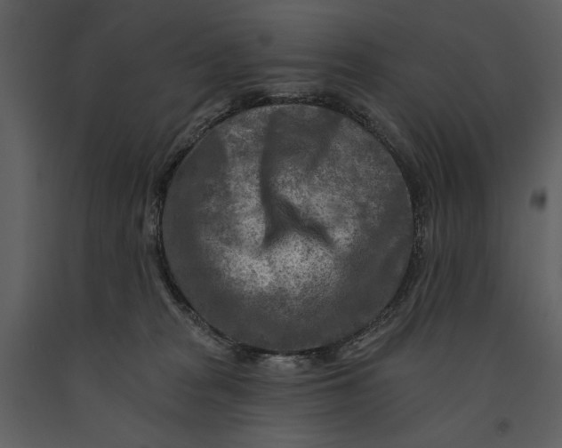 X0000090950277200708241136