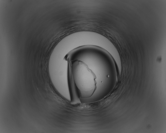 X0000090950278200708241136