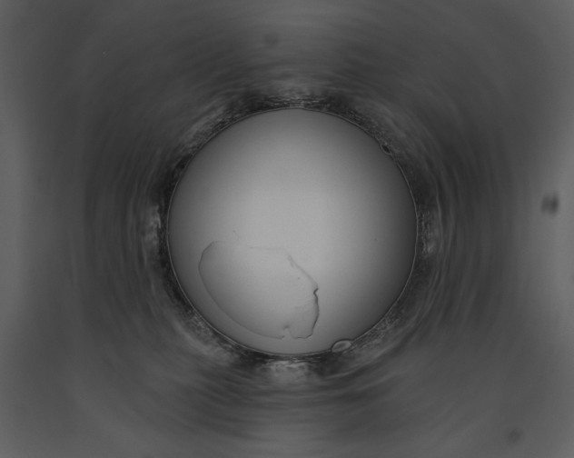X0000090950279200708241136