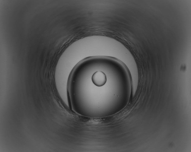 X0000090950280200708241136