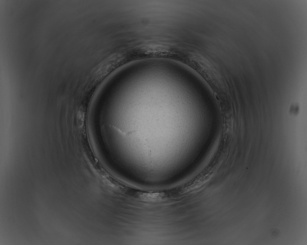 X0000090950281200708241136