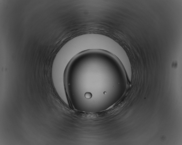 X0000090950282200708241136