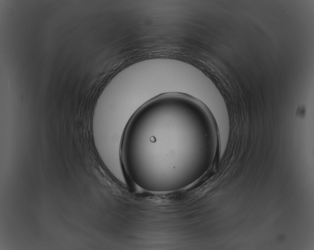 X0000090950284200708241136