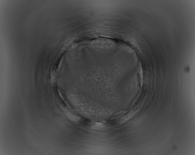 X0000090950285200708241136