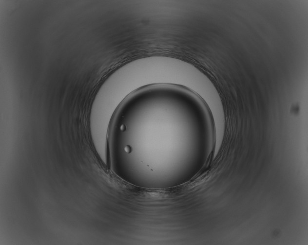X0000090950286200708241136