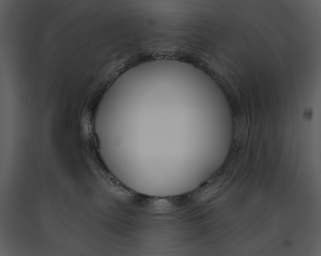 X0000090950287200708241136