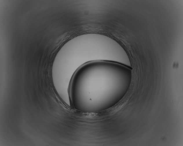 X0000090950288200708241136