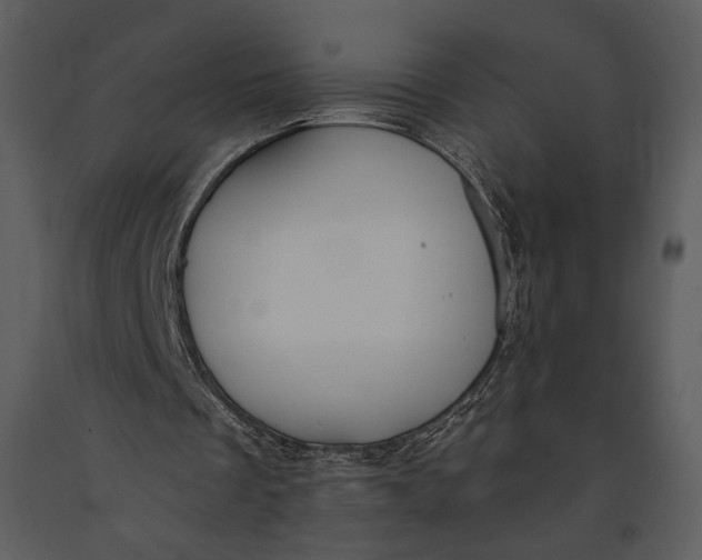 X0000090950289200708241136