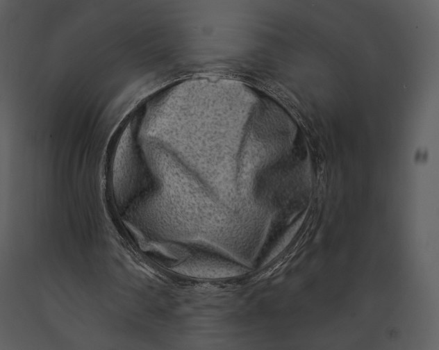 X0000090950290200708241136