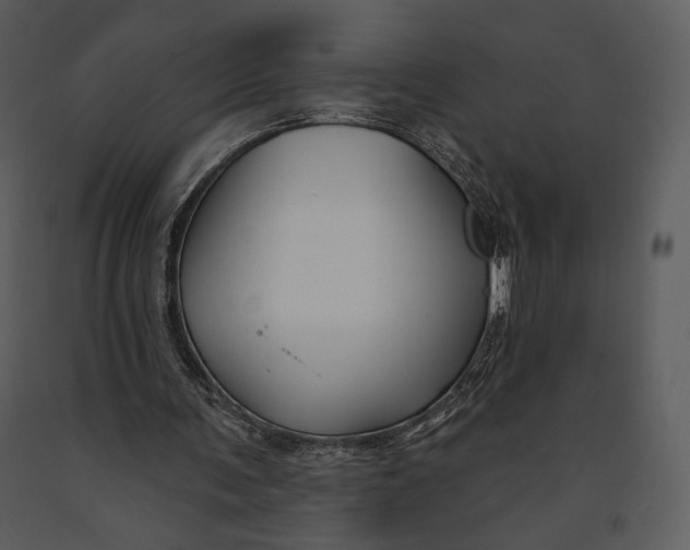 X0000090950291200708241136