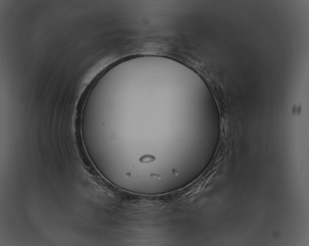X0000090950292200708241136