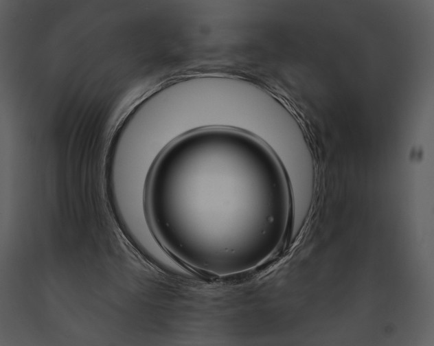 X0000090950293200708241135