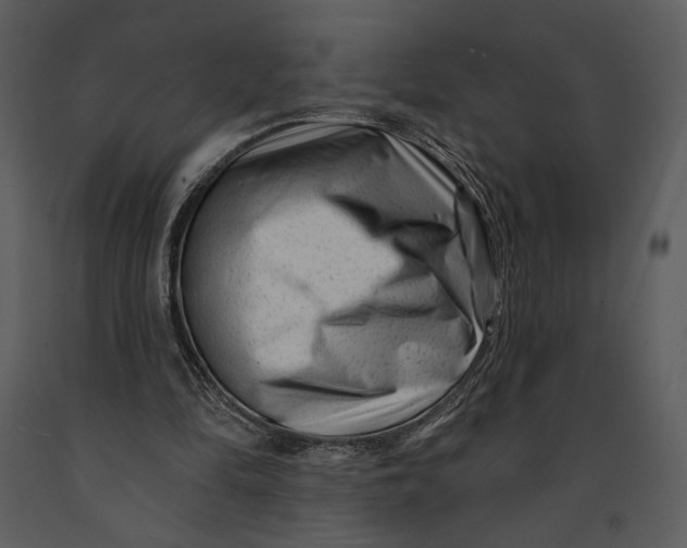 X0000090950294200708241135