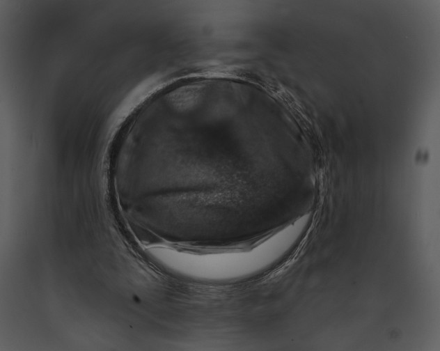 X0000090950295200708241135