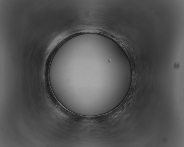 X0000090950296200708241135