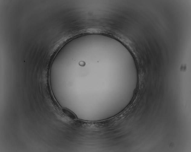 X0000090950297200708241135