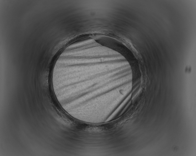 X0000090950299200708241135