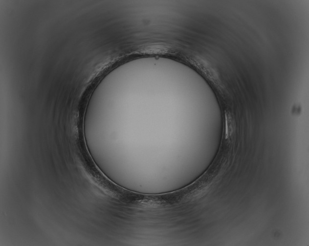 X0000090950300200708241135