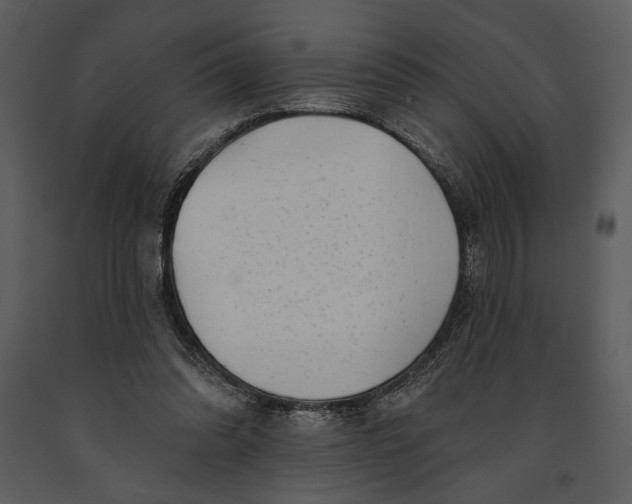 X0000090950302200708241135