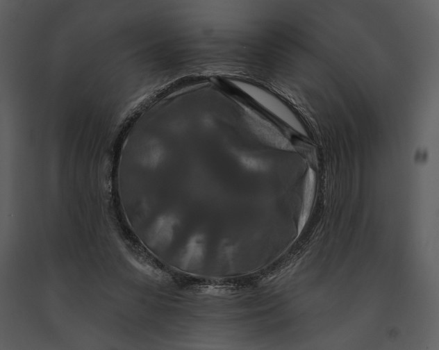X0000090950303200708241135