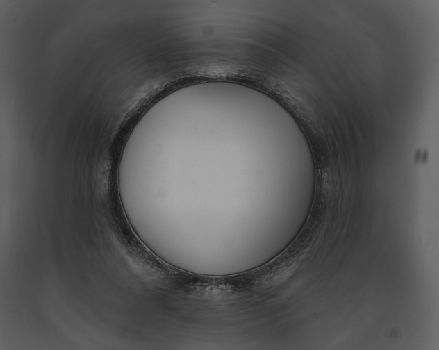 X0000090950304200708241135
