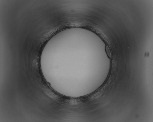 X0000090950305200708241135