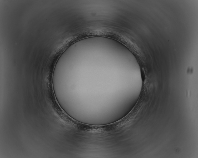 X0000090950306200708241135