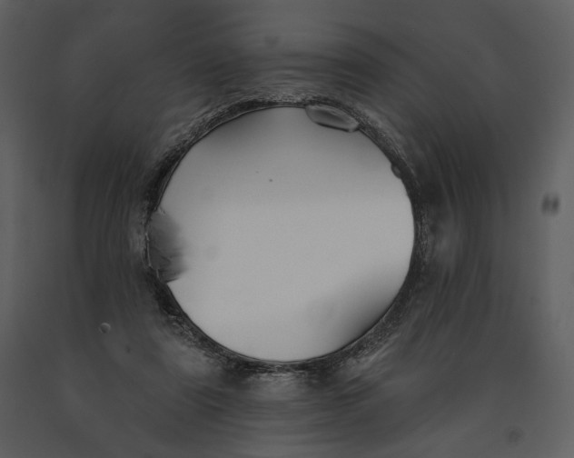 X0000090950307200708241135