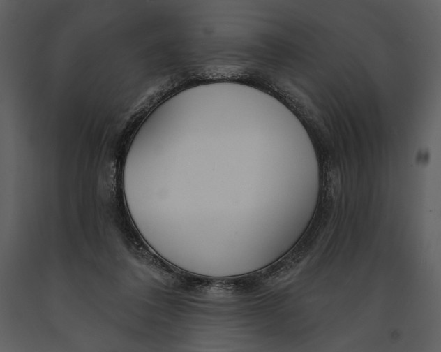 X0000090950308200708241135