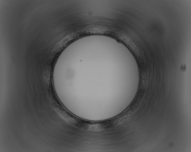 X0000090950309200708241135