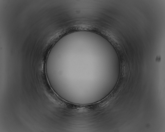 X0000090950310200708241135