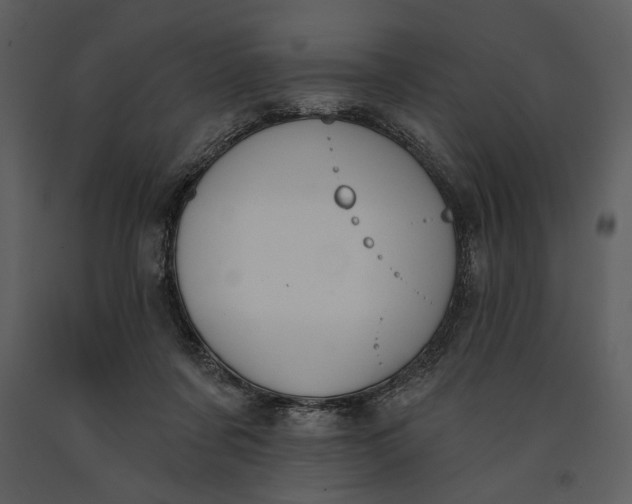 X0000090950311200708241135