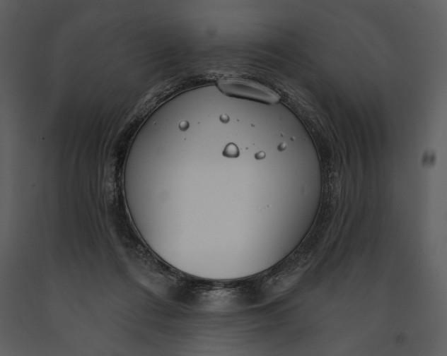 X0000090950312200708241135