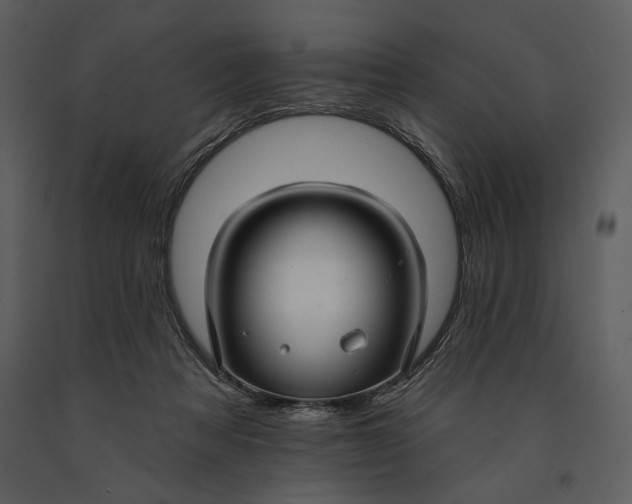 X0000090950313200708241135