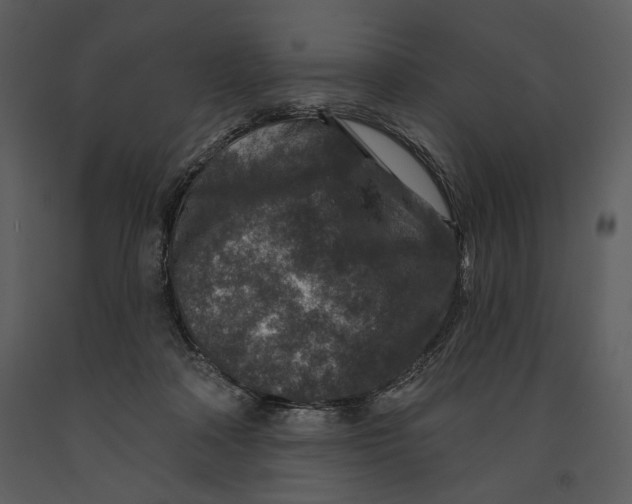 X0000090950314200708241135