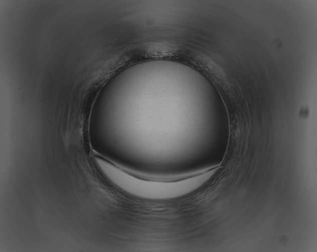 X0000090950315200708241135
