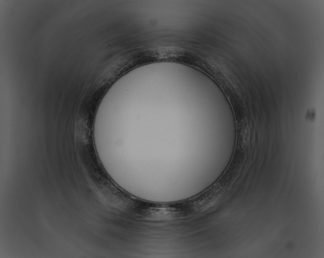 X0000090950316200708241135