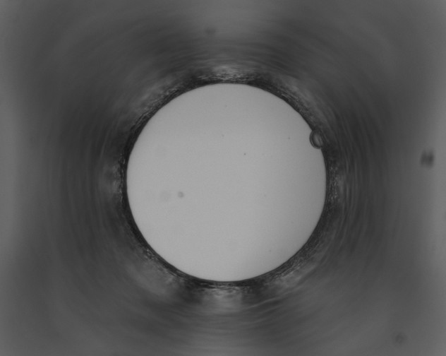 X0000090950317200708241135
