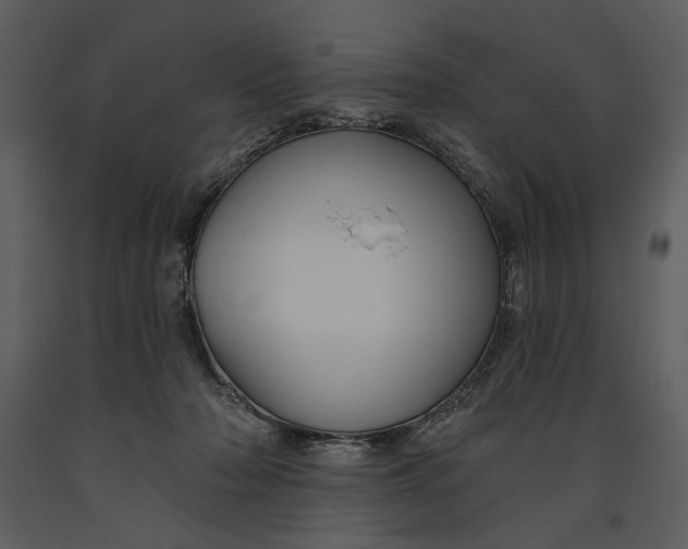 X0000090950318200708241135