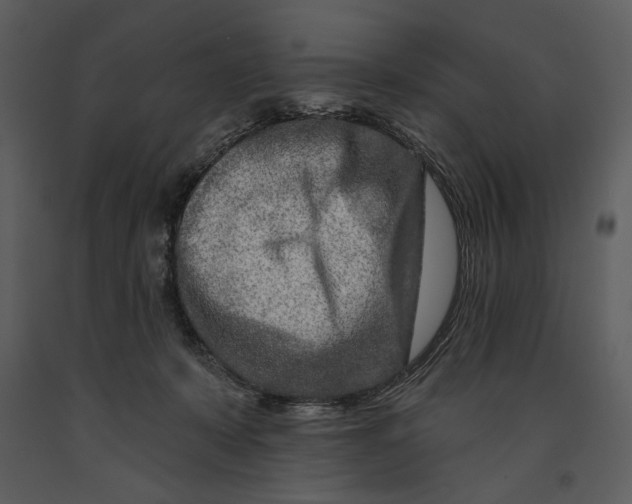 X0000090950319200708241135
