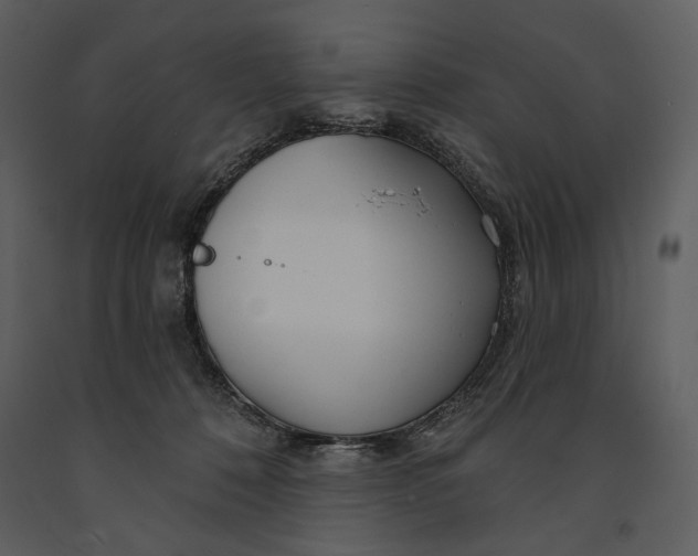 X0000090950320200708241135
