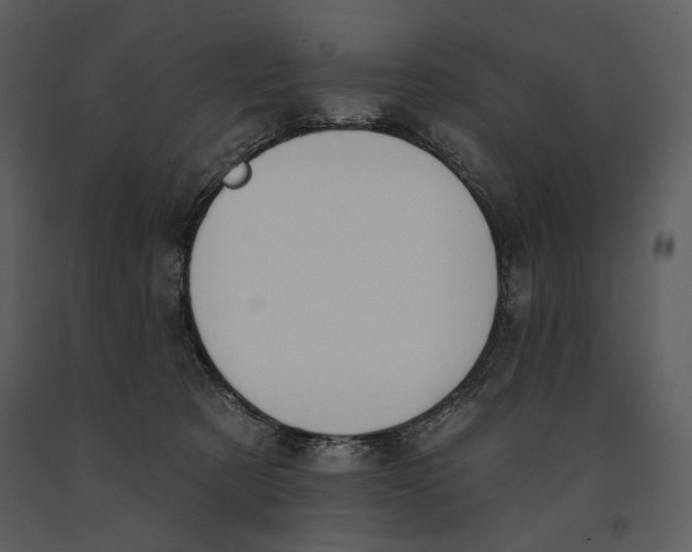 X0000090950321200708241135