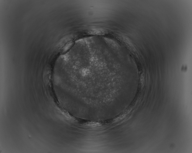 X0000090950322200708241135